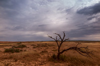 Kimberley Landscape