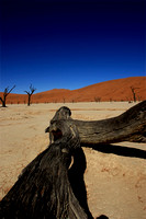 Namibrand Deadvlei Landscape
