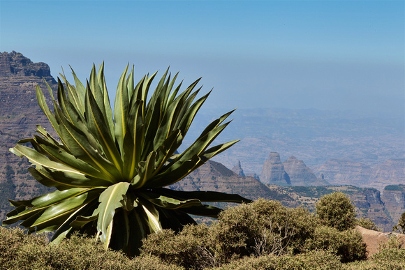 Ethiopia - Simien Mountains