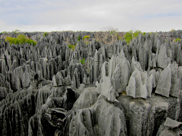 Madagascar - Tsingy de Bemahara