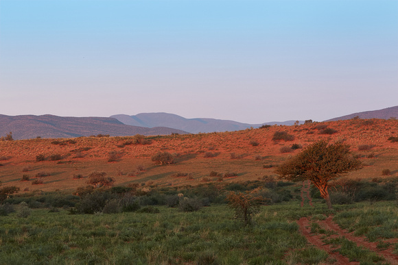 The Green Kalahari