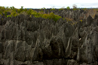 Tsingy of Bemaraha