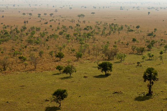 Kidepo Landscape
