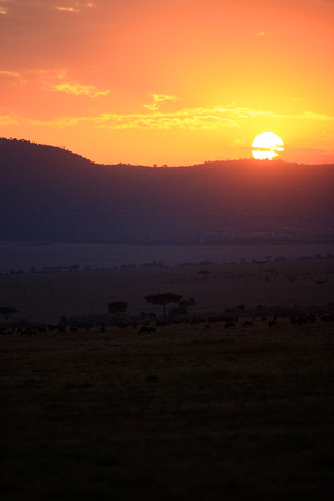 Sunset on the Masai Mara