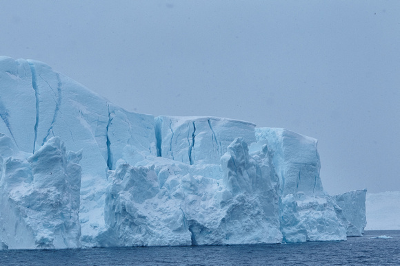 Icebergs - From the Boat