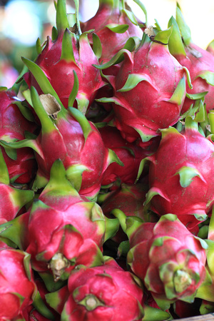 Vietnam - Hue Market - Dragon Fruit