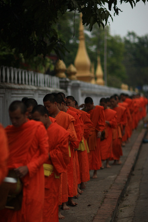 Laos - Luang Prabang - Monks in their Morning Meal Procession