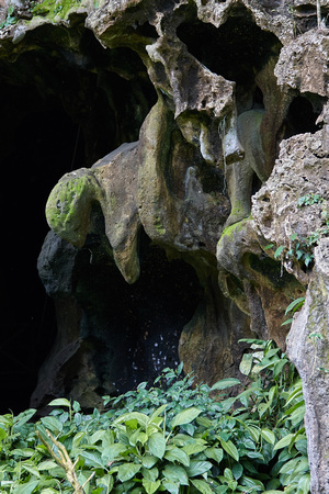 Gomantong Caves