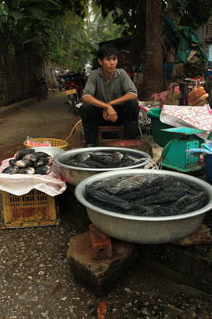Laos - Luang Prabang Market