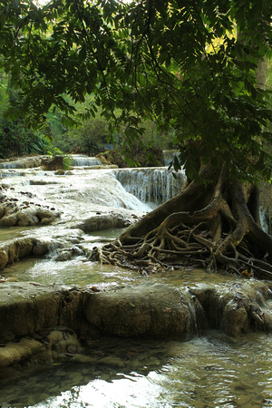Laos - Luang Prabang - Kouangxi Falls