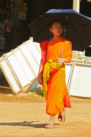 Laos - Luang Prabang - Young Monk with Umbrella