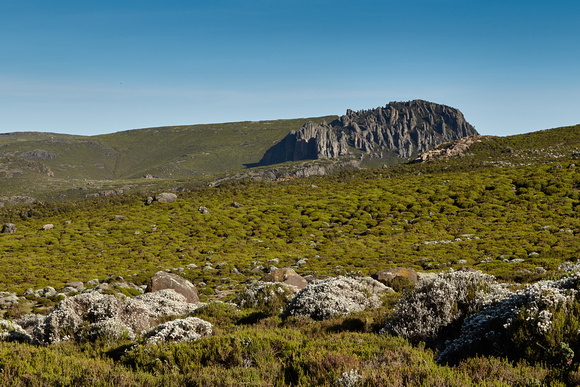Bale Mountains - Sanetti Plateau