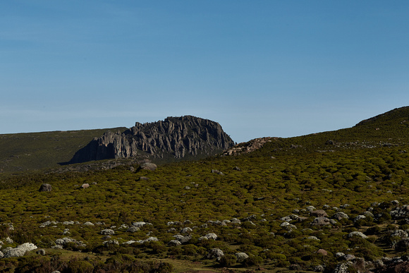 Bale Mountains - Sanetti Plateau