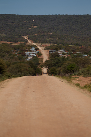 The "P.R. Turaco" Road