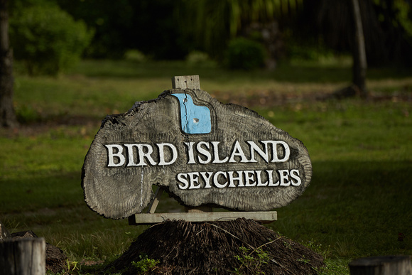 Welcome to Bird Island!