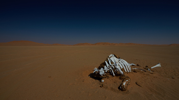 Rub' al Khali Desert - The Empty Quarter