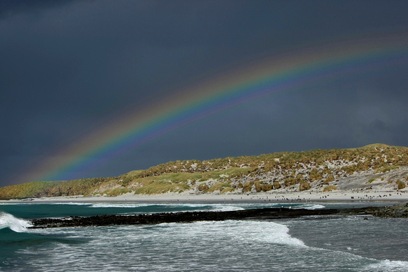 Rainbow on Sea Lion Island
