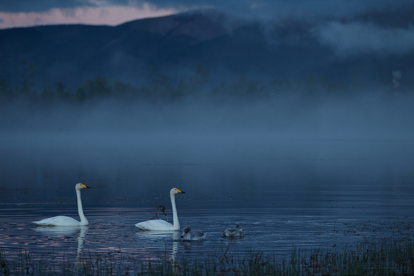 Misty Morning on Toilogt Lake